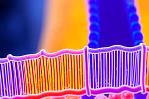 Cell Plasma Membrane Structure and Function