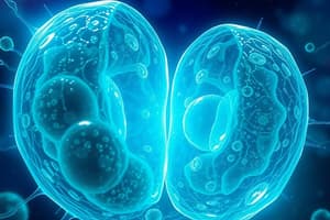 Cell Division and the Cell Cycle