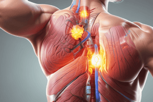 Rotator Cuff Tear Symptoms and Diagnosis