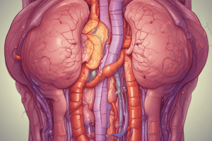 La Maladie de Crohn