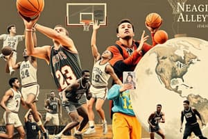 Quest for the Net: Basketball Overview