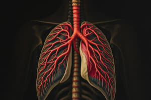 Circulatory and Respiratory Systems