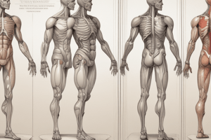 RDH 226 Anatomy & Physiology Review