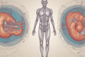 Renal Physiology: Fluid Intake and Output