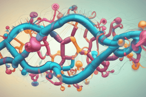 rRNA Structure, Processing, Regulation, and Function