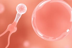 Sperm and Egg Cells Overview