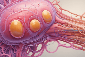 Urinary System: Physical Characteristics of Urine