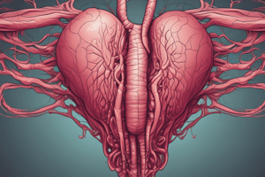 Lecture 11:Anatomy of the Placenta