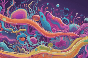 Central Mesosome Function in Gram Positive Bacteria