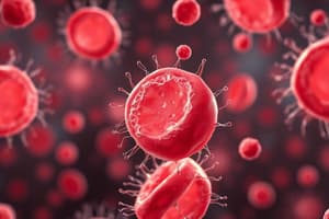 Red Blood Cells (Erythrocytes) - Structure & Function