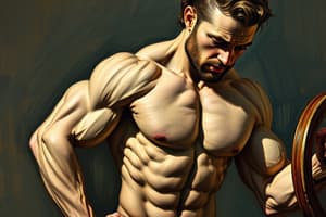 Techniques d'entraînement en musculation