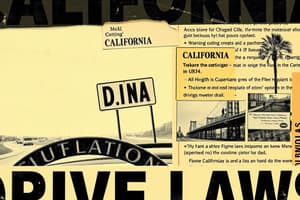 Lý Thuyết Thi Lái Xe California