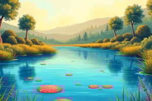 Pond Water Quality Assessment