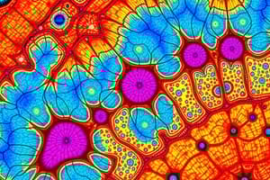 Biological Microscopy: Image Relay & Conjugate Detection