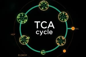 The Tricarboxylic Acid (TCA) Cycle