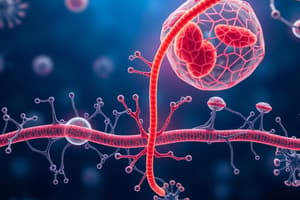 Biology Chapter 3 Quiz: Homeostasis and Transport