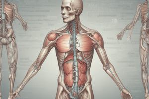 Medical Terminology: Common Prefixes