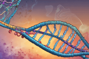 DNA Replication Proteins: Helicases and Single-Strand Binding Proteins