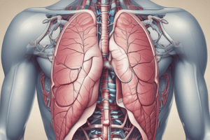 Anatomy of the Diaphragm