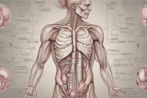 Digestive Tract: Introduction