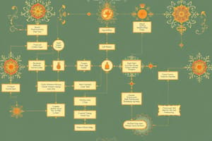 Data Flow Diagrams Overview