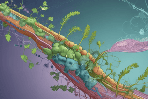 Plant Storage Lipids and Their Applications