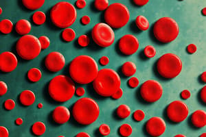 Anemia and Red Blood Cell Characteristics