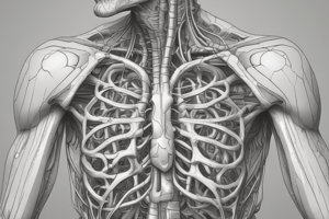 Mediastinum Anatomy Quiz