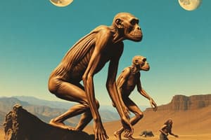 Homo Erectus and Neanderthals