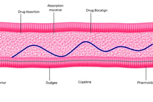 Drug Absorption and Administration Routes