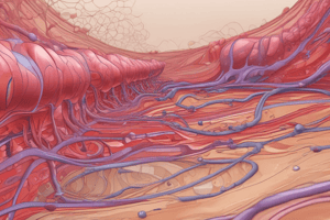 Microvascular Permeability and Endothelial Barrier