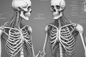 Anatomia Apparato Locomotore