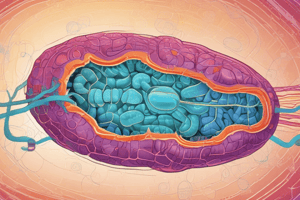 Gluconeogenesis