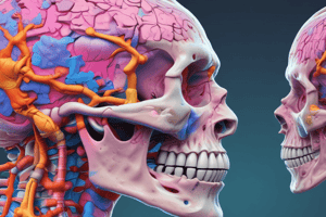 CT Scan Soft-tissue Contrast Quiz