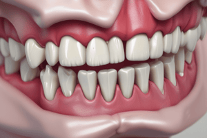 Dental Anatomy: Permanent Maxillary Molars