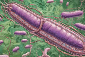 Vibrio cholerae : Identification et Traitement