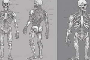 Anatomical Terminology Course