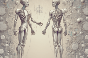 Calcium and Phosphate in the Human Body