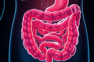 Gastrointestinal Elimination and Structure Quiz