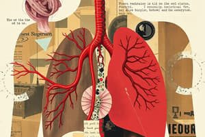 Circulation and Respiration Chapter 30 (Exam 4)