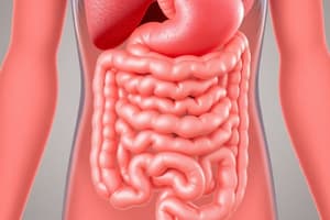 Digestive System and Digestion Quiz