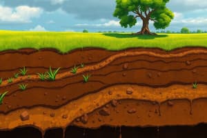 Soil Order Characteristics Quiz