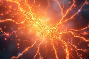 Neurotransmitters: Acetylcholine & Glutamate