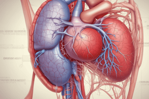 Liver Physiology