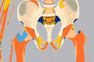 Radiographic Anatomy Lower Limb