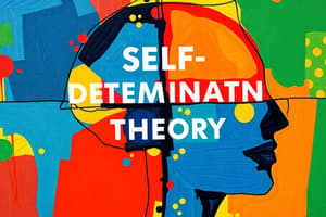 Self-Determination Theory and Motivation Quiz