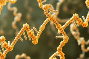 Nucleotides and Nucleic Acids Quiz