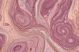 Histology of Integumentary System