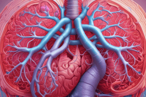 Respiratory System Structures and Functions