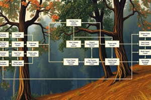 Block Diagram Algebra Flashcards